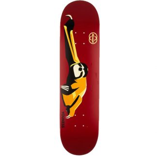 ALMOST YOUNESS ANIMALS R7 8.0" DECK 